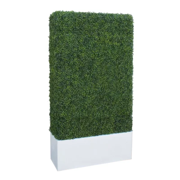 Boxwood hedge wall rental