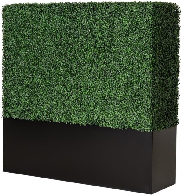 Boxwood hedge wall rentals